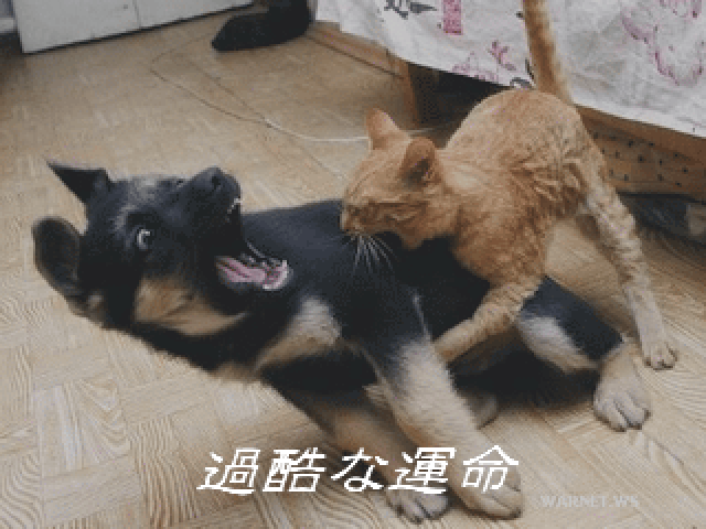 作品スクリーンショット 2