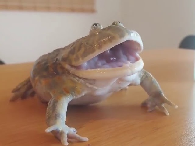 作品スクリーンショット 1