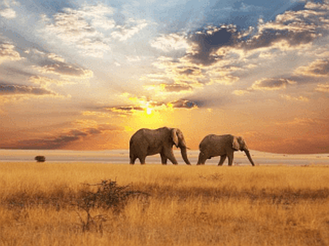 作品スクリーンショット 1